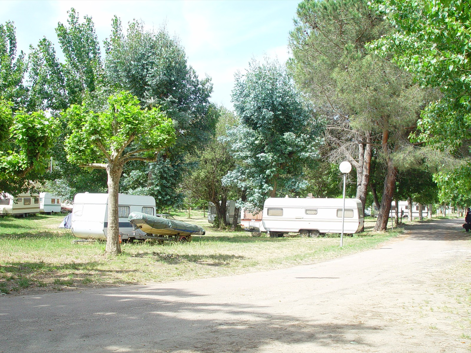 DSC02321